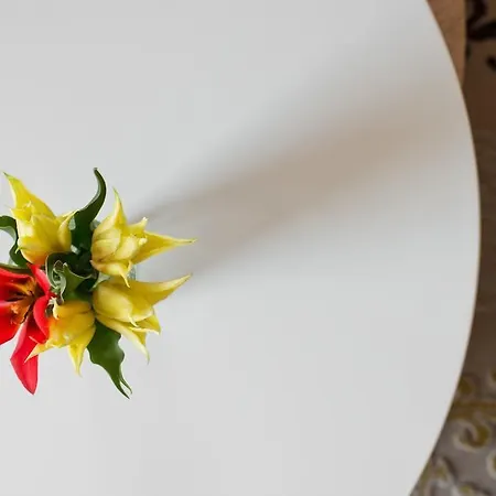 Atgaiva Prie Juros * Паланга